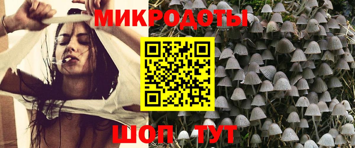 Псилоцибиновые грибы прущие грибы Гудермес