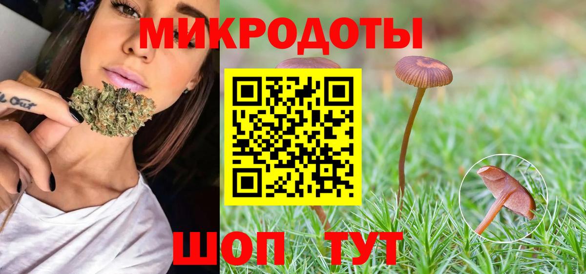 Гудермес  Галлюциногенные грибы Cubensis  Вход с VPN 